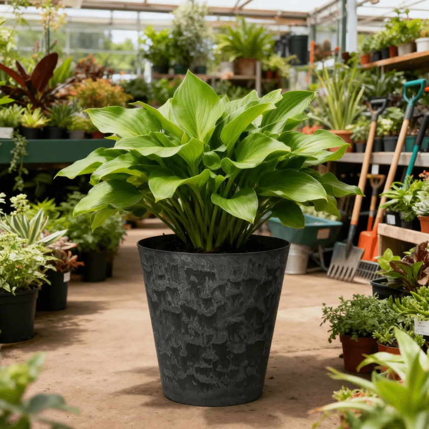 Durable Stone-Look Plastic Planter – Stylish Indoor & Outdoor Gardening Pot